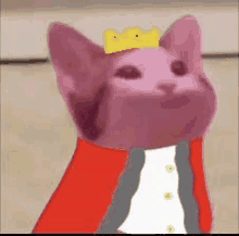 a pink cat with a crown on its head is wearing a red jacket .