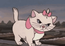 a white cartoon cat with a pink bow on its head