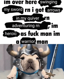 a dog wearing a horned helmet and holding a sword with a caption that says im over here swinging my sword