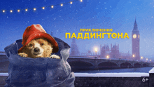 an advertisement for paddington shows a dog in a jacket