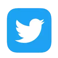 a twitter icon with a white bird on a blue square