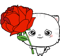 a cartoon cat is holding a red rose in front of its face