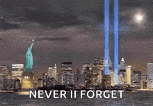 the statue of liberty is surrounded by a city skyline at night with the words `` never ii forget '' .