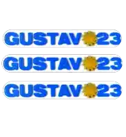 the name gustav is written in blue letters