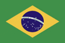 a green and yellow flag with a blue and white circle in the middle