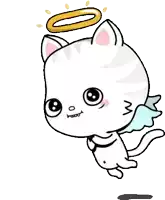 a cartoon cat with wings and a halo on its head