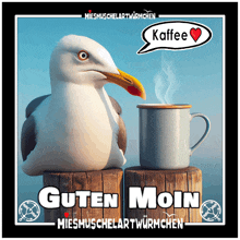 a seagull sitting next to a cup of coffee with the words guten moin written below it