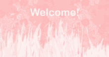 a pink background with white grass and the words welcome