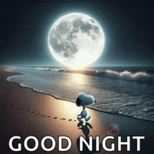 a picture of snoopy on the beach with the words " good night "