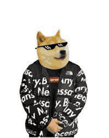 a dog wearing a supreme jacket and sunglasses is standing on a white background .