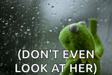 kermit the frog looking out a window with the words " ( don 't even look at her ) " written below him