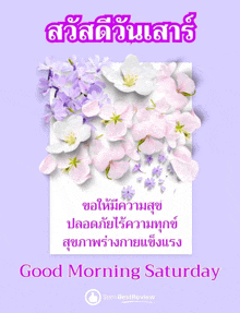 a purple background with pink and purple flowers and the words " good morning saturday "