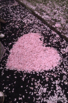 a heart made out of cherry blossom petals