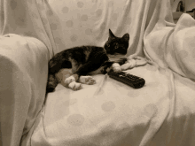 a calico cat laying on a couch with a remote control