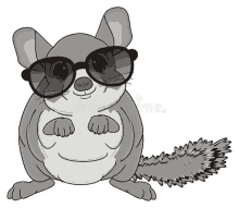 a chinchilla is wearing sunglasses and smiling