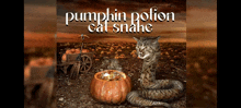 a cat snake is sitting in front of a pumpkin with the words pumpkin potion cat snake written above it