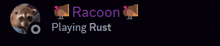 a picture of a raccoon and the words playing rust