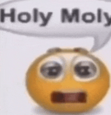 a yellow smiley face with a speech bubble that says `` holy molly '' .