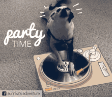 a picture of a dog on a record player with the words party time written above it