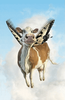 a brown and white cow with butterfly wings flies through the air