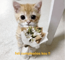 a kitten is holding a bouquet of flowers with the words feli cumpleanos kou on the bottom