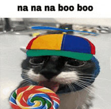 a cat wearing a hat and holding a colorful lollipop in its mouth .