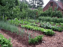 a garden filled with lots of vegetables and trees in front of a house .