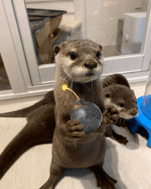 an otter is holding a bomb with a yellow light coming out of it