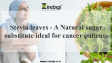 stevia leaves is a natural sugar substitute for cancer patients