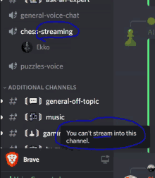 a screenshot of a discord channel with a blue circle around the words you can 't stream into this channel