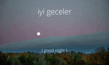 a picture of a forest with the words iyi geceler ( good night ) below it