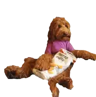 a brown dog wearing a purple shirt is holding a bag of cheese puffs