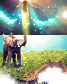 a picture of an elephant and a picture of a woman in the sky