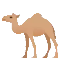 a cartoon drawing of a camel standing on its hind legs