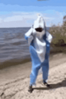 a person in a shark costume is standing on a beach near the water .