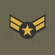 a military badge with wings and a star on it .