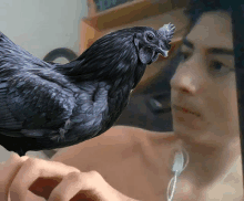 a black chicken is sitting on a man 's hand