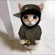 a cat wearing a hat and a hoodie holds a toy truck