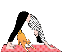 a woman is doing a yoga pose with a dog on her lap .