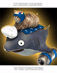 a cat is riding on the back of a stuffed shark with a caption that says my honest reaction to that information