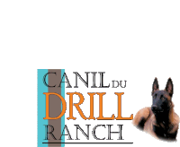 a logo for canil du drill ranch with a dog in the background