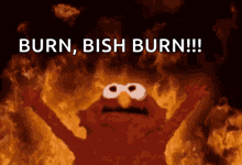 elmo is on fire with the words burn , bish burn