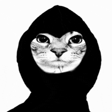 a black and white drawing of a cat wearing a black hood .