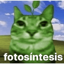 a green cat with a plant growing out of its head and the word fotosintesis .