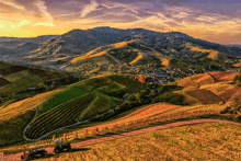 a tractor is parked on a dirt road in the middle of a field