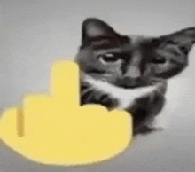 a black and white cat is giving the middle finger to a yellow icon .