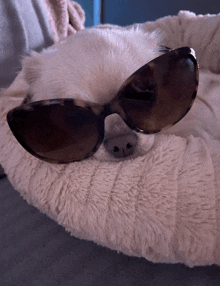 a white dog wearing sunglasses is laying on a white blanket