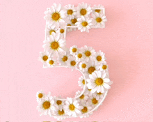 the number 5 is made out of white daisies on a pink background