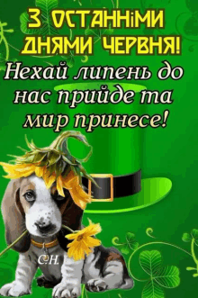 a picture of a dog wearing a leprechaun hat with a flower in its mouth