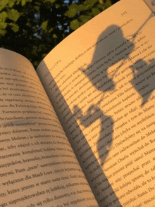 a book is open to page 191 with a shadow of a person on the page